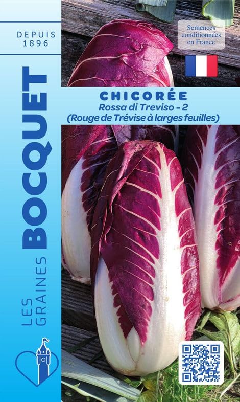 graines-bocquet-chicor-e-rosa-di-treviso-2-graines-4-g-rouge image 1