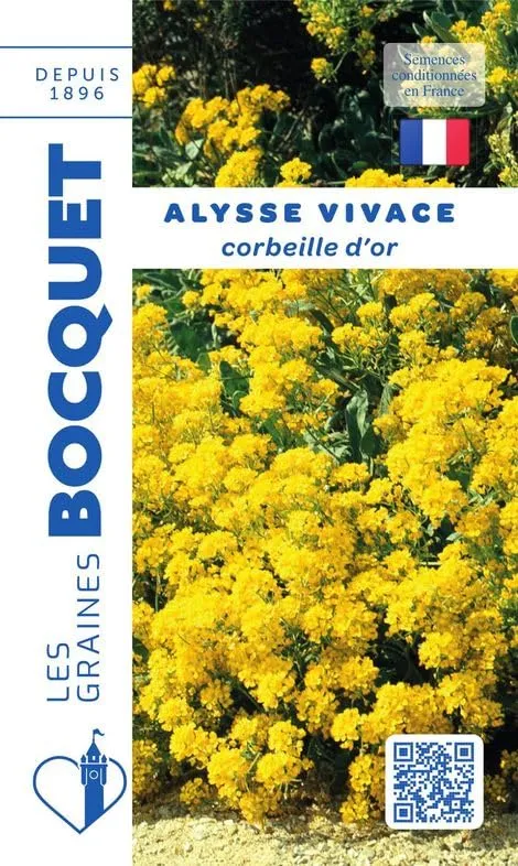 graines-bocquet-alysse-corbeille-d-or-fleurs-0-5-g-vivace image 1
