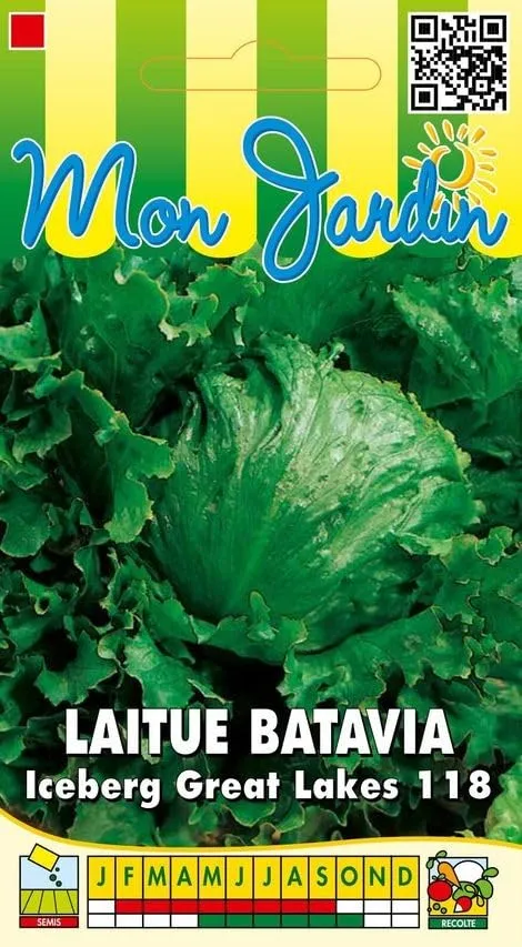graines-bocquet-laitue-batavia-great-lakes-graines-salade-3g-iceberg image 1