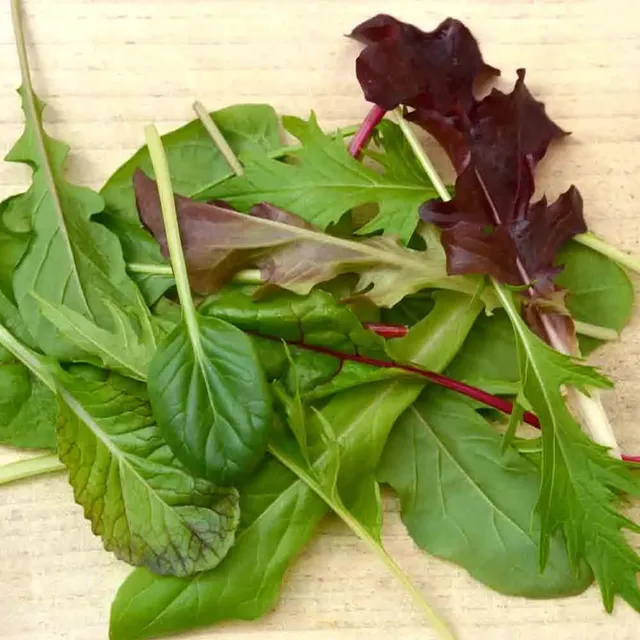 ferme-de-sainte-marthe-mesclun-oriental-ruban-graines-potag-res-bio-3-m image 1
