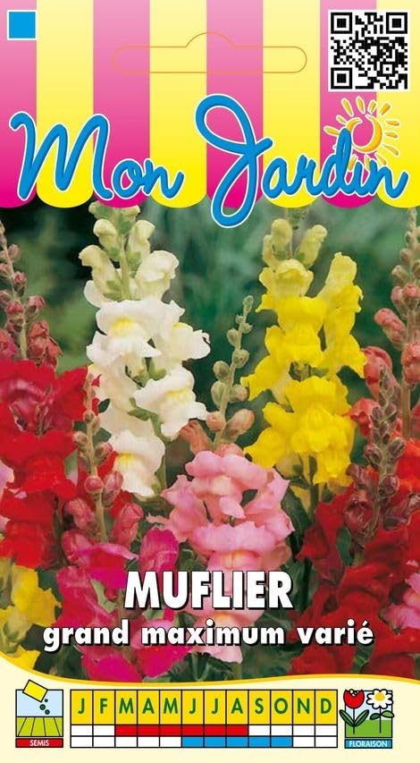 graines-bocquet-muflier-grand-maximum-graines-fleurs-0-5-g-vari image 1