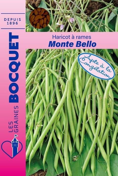graines-bocquet-haricot-monte-bello-rames-graines-potag-res-50-g image 1
