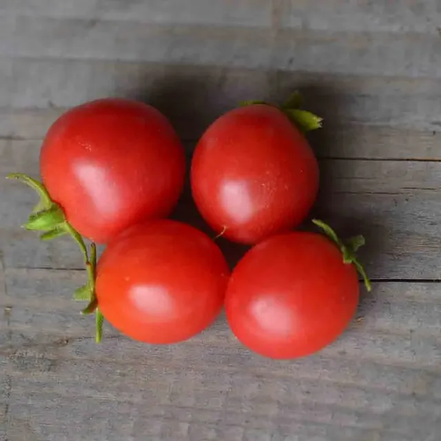 ferme-de-sainte-marthe-ditmarscher-suspension-rose-graines-tomates-bio image 1