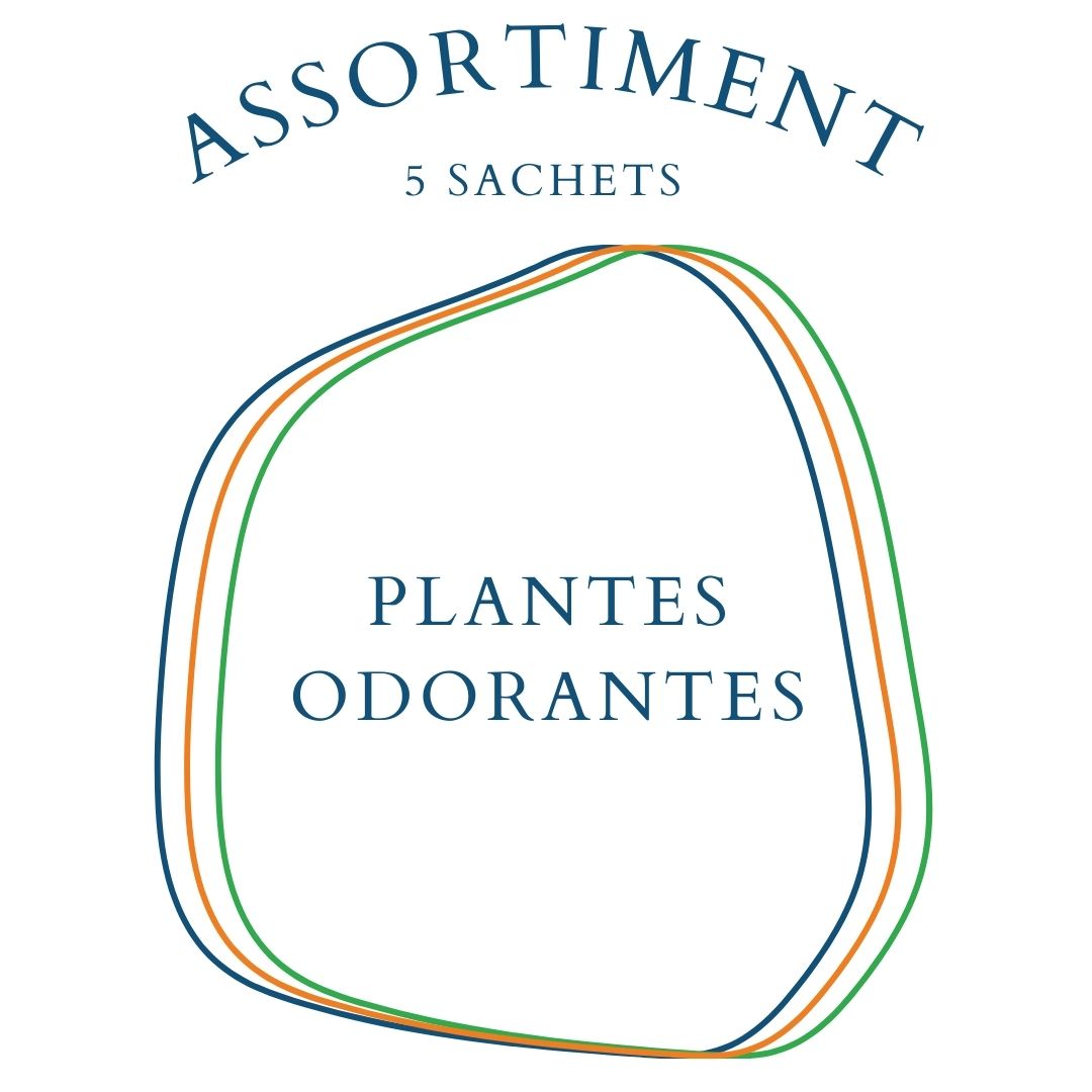 la-bo-te-graines-assortiment-plantes-odorantes-coffret-5-sachets-bio image 1