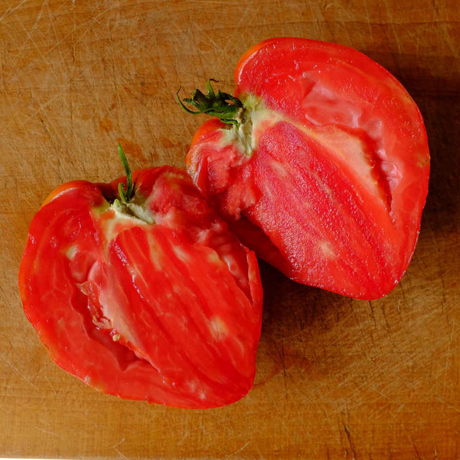 la-bo-te-graines-beefsteak-graines-tomate-bio-gros-fruit image 3