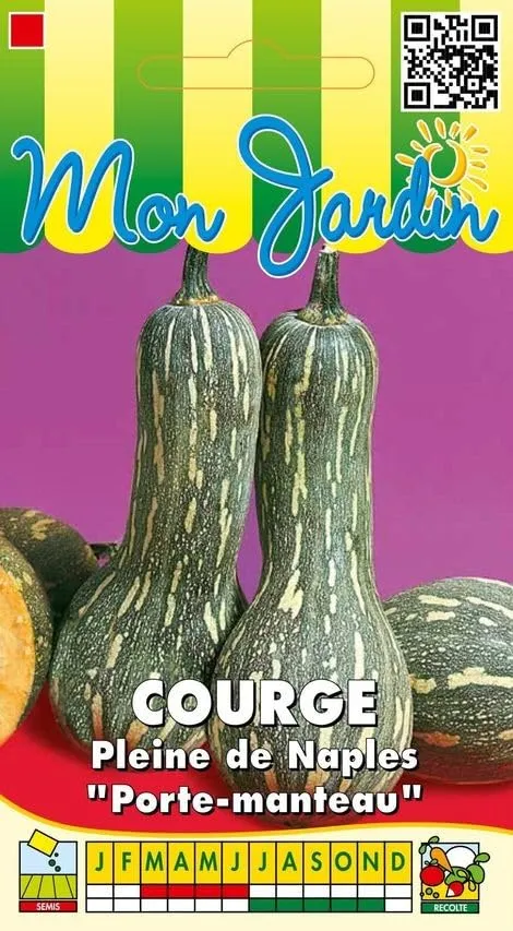 graines-bocquet-courge-naples-graines-potag-res-3-g-fruit-vert image 1