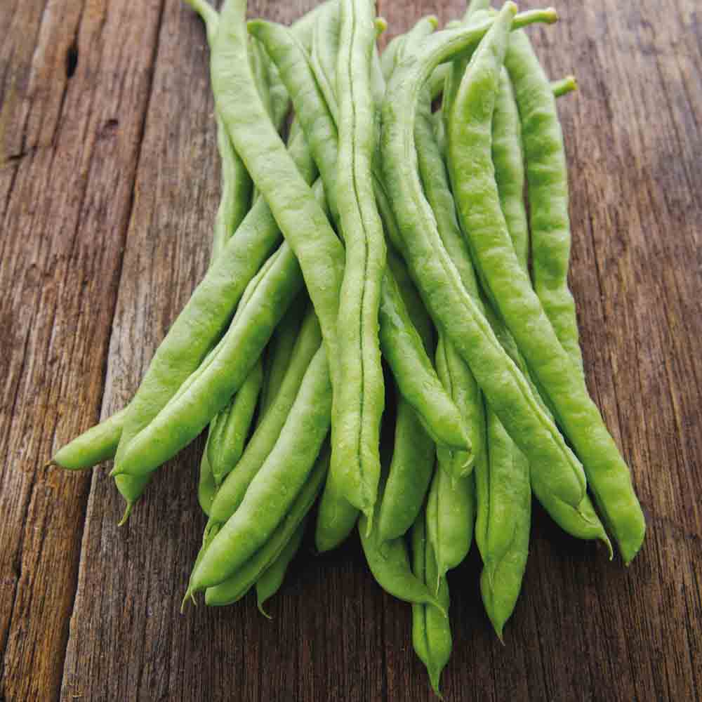 ferme-de-sainte-marthe-m-lange-haricots-rames-graines-bio image 2