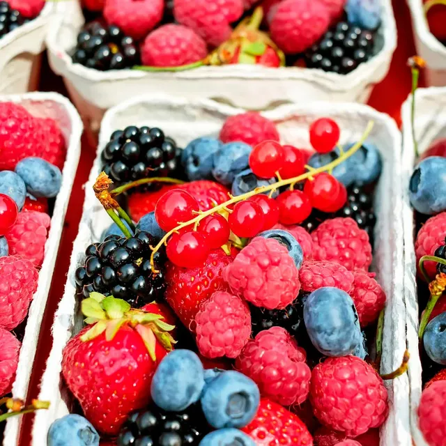 ferme-de-sainte-marthe-classiques-collection-plants-petits-fruits image 1
