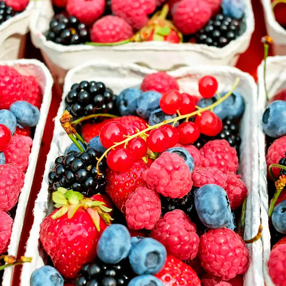 ferme-de-sainte-marthe-classiques-collection-plants-petits-fruits image 1