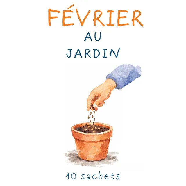 la-bo-te-graines-id-es-cadeaux-f-vrier-au-jardin-coffret-10-sachets-bio image 1