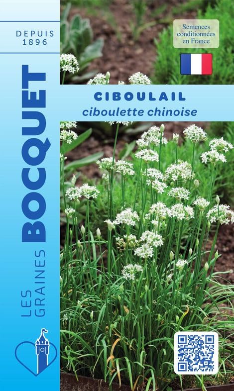 graines-bocquet-ciboulail-graines-aromatiques-1-g-vivace image 1