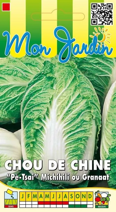 graines-bocquet-chou-chine-michihili-graines-3-g-pomme-allong-e image 1