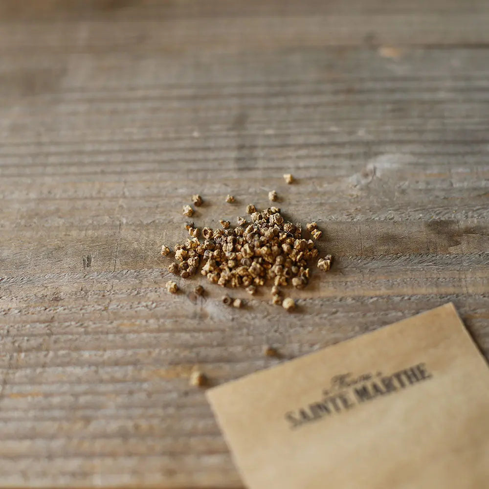 ferme-sainte-marthe-burpees-golden-betterave-jaune-bio image 2