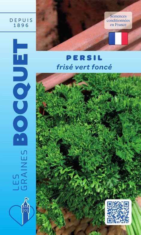 graines-bocquet-persil-fris-vert-fonc-graines-potag-res-5-g-non-hybride image 1
