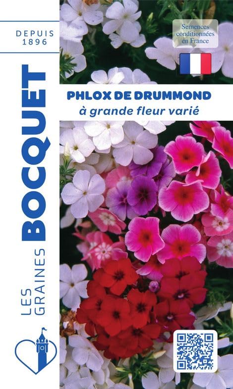 graines-bocquet-phlox-de-drummond-vari-graines-fleurs-0-5-g image 1