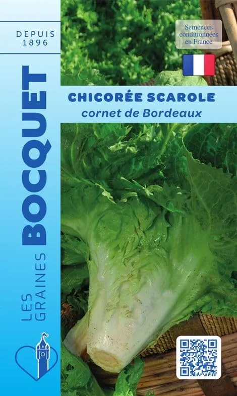 graines-bocquet-chicor-e-scarole-cornet-bordeaux-4-g-feuille image 1