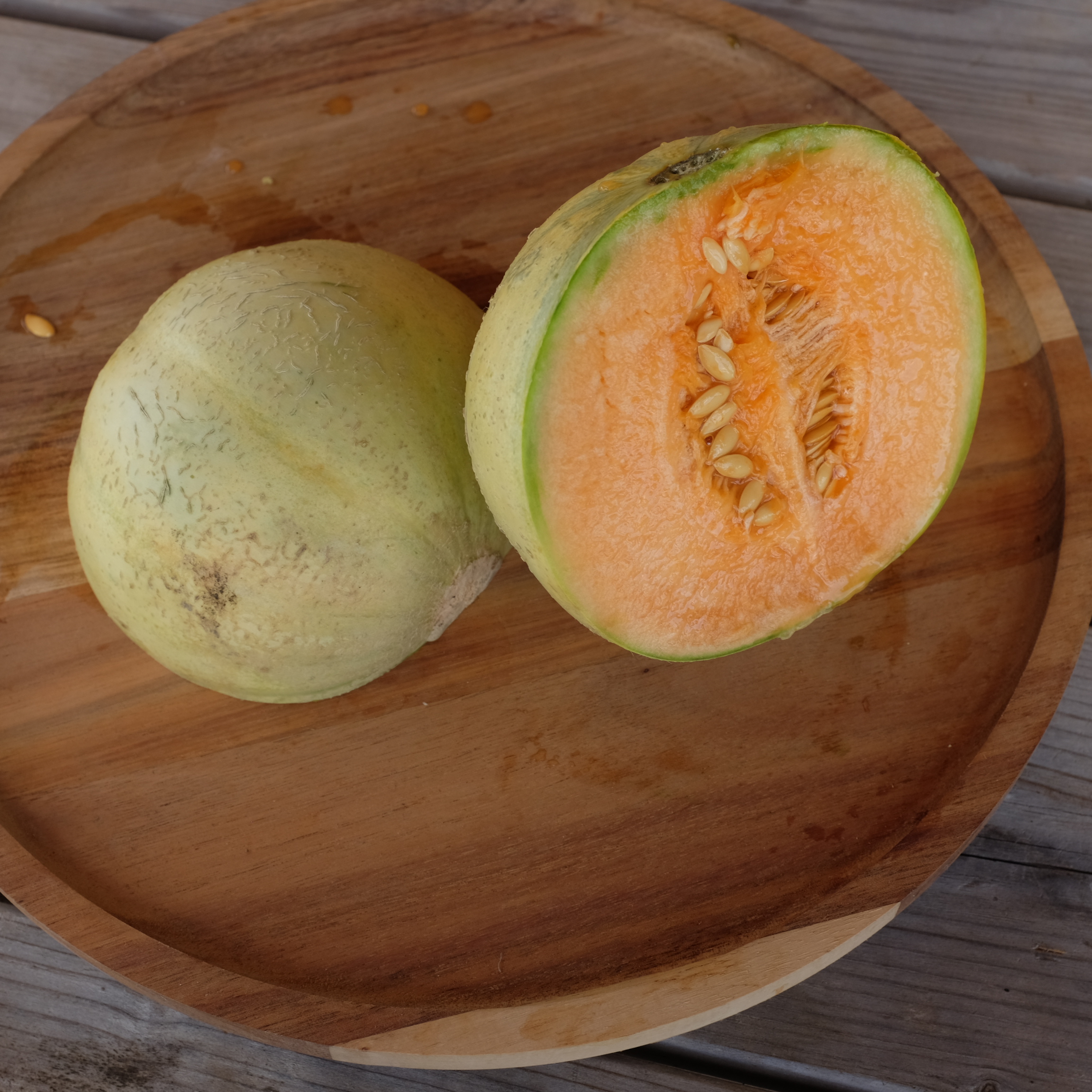 la-bo-te-graines-melon-cantaloup-charentais-bio-graines-sucr-es image 2