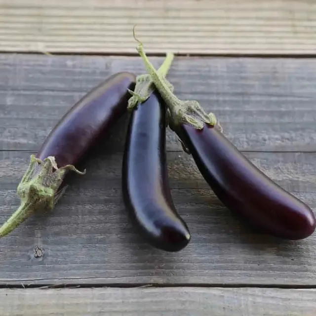 ferme-de-sainte-marthe-little-fingers-graines-aubergine-bio image 1