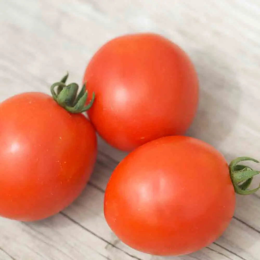 ferme-sainte-marthe-tomate-siberian-graines-bio-potag-res image 1