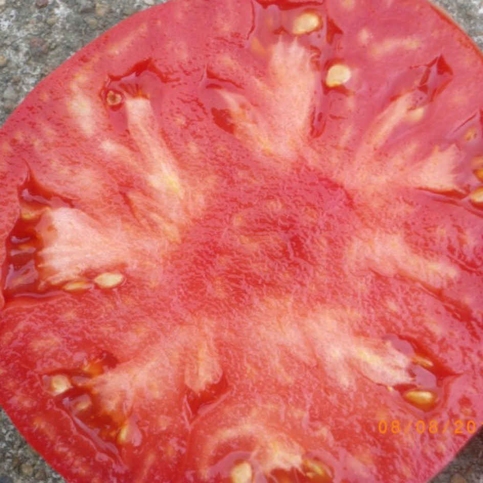 la-bo-te-graines-tomate-pruden-s-purple-bio-graines-tomate-rose image 2