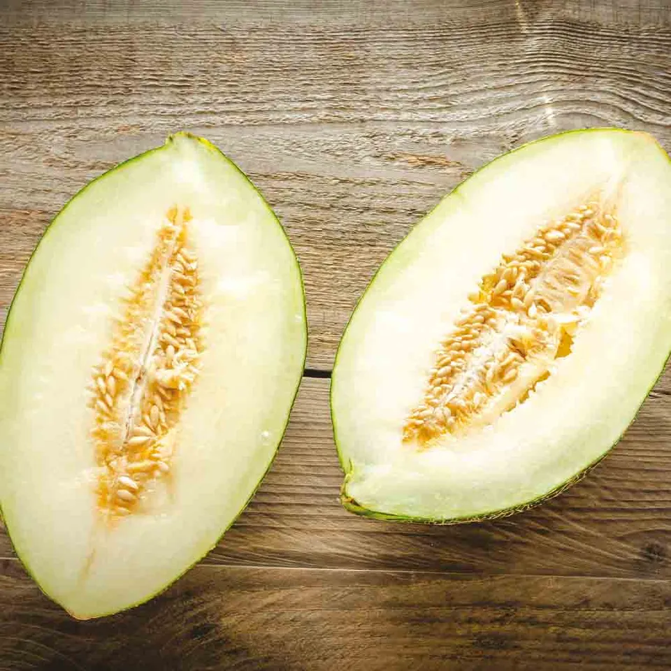 ferme-de-sainte-marthe-melon-vert-d-espagne-pinonet-graines-bio image 1