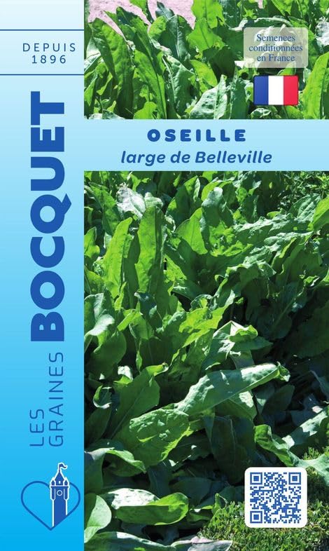 graines-bocquet-oseille-belleville-graines-potag-res-3-g-vivace image 1