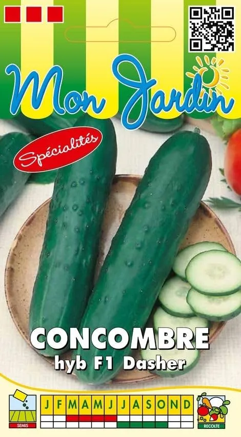 graines-bocquet-potag-res-concombre-dasher-f1-graines-1-g image 1