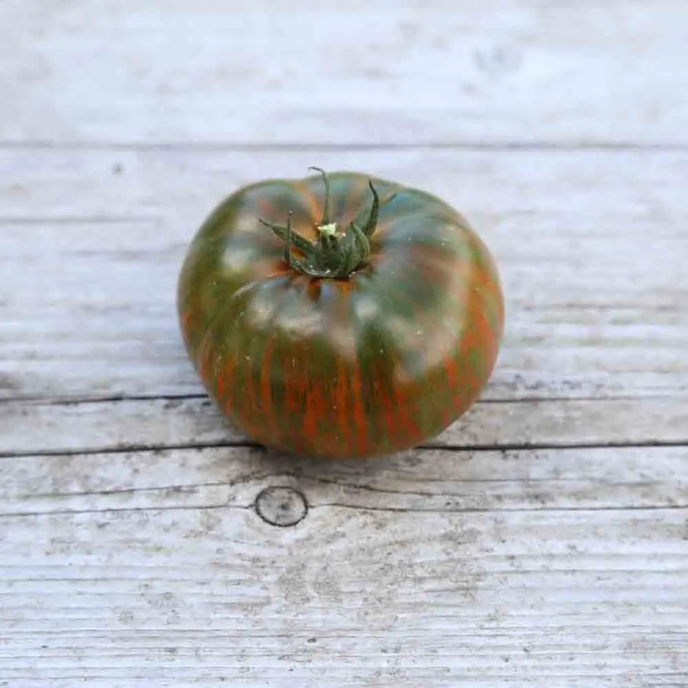 ferme-de-sainte-marthe-tomate-chocolate-stripes-ab-plant-bio image 2