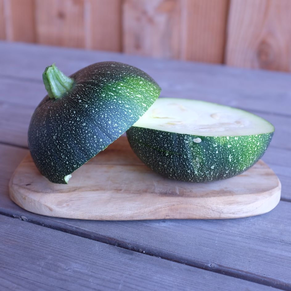 la-bo-te-graines-ronde-de-piacenza-graines-courgette-bio-productive image 2