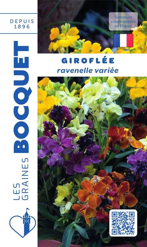 graines-bocquet-girofl-e-ravenelle-vari-e-graines-fleurs-1-5-g-vivace image 1