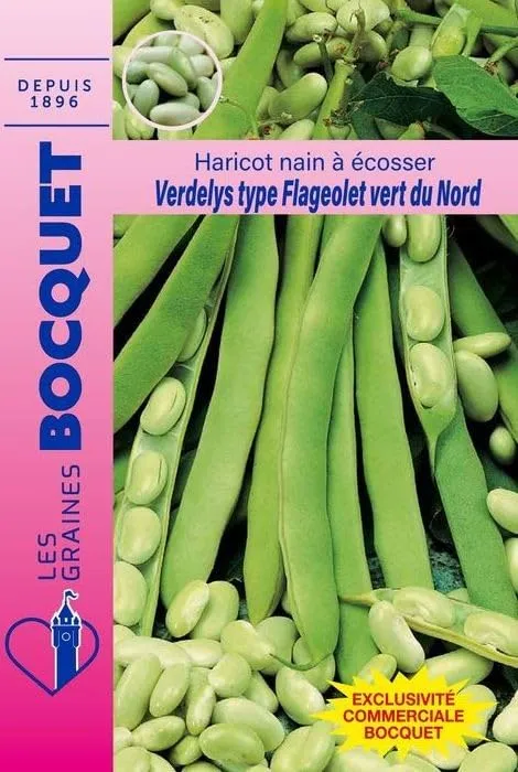 graines-bocquet-haricot-nain-verdelys-graines-115-g-flageolet image 1