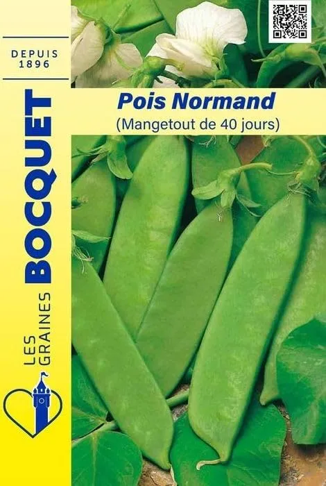 graines-bocquet-pois-normand-mangetout-40-jours-graines-150-g-sucr image 1