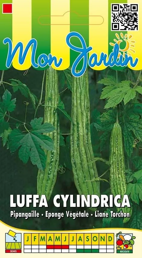 graines-bocquet-luffa-cylindrica-graines-ponge-v-g-tale-1-g image 1
