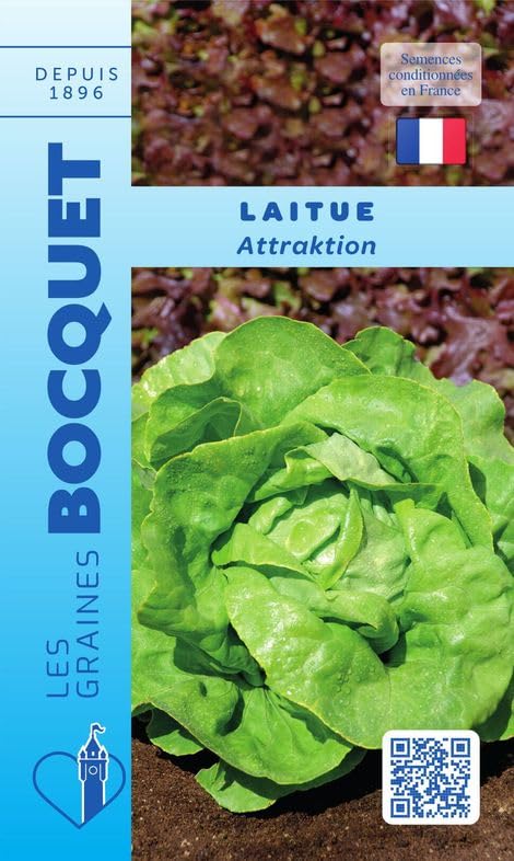 graines-bocquet-attraktion-graines-laitue-d-t-4-g image 1