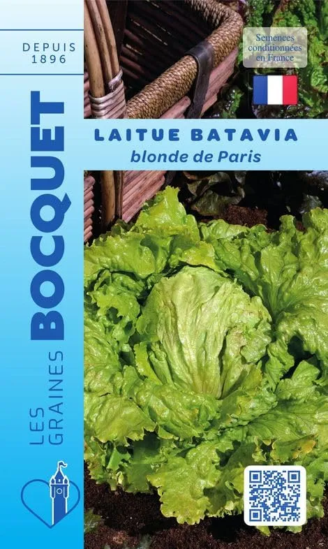 graines-bocquet-batavia-blonde-de-paris-graines-4-g image 1
