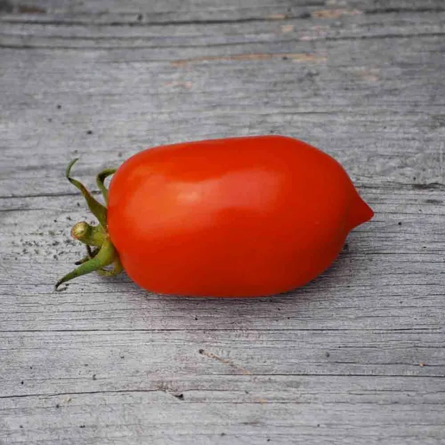ferme-de-sainte-marthe-tomate-roma-vf-graines-potag-res-sachet-bio image 1