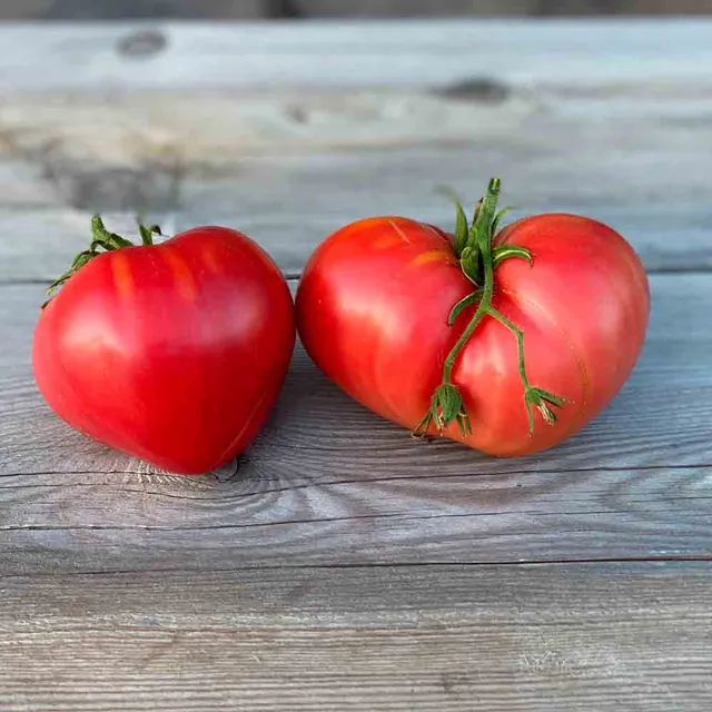 ferme-de-sainte-marthe-tomate-c-ur-graines-bio-antigaspi-en-sachet image 1