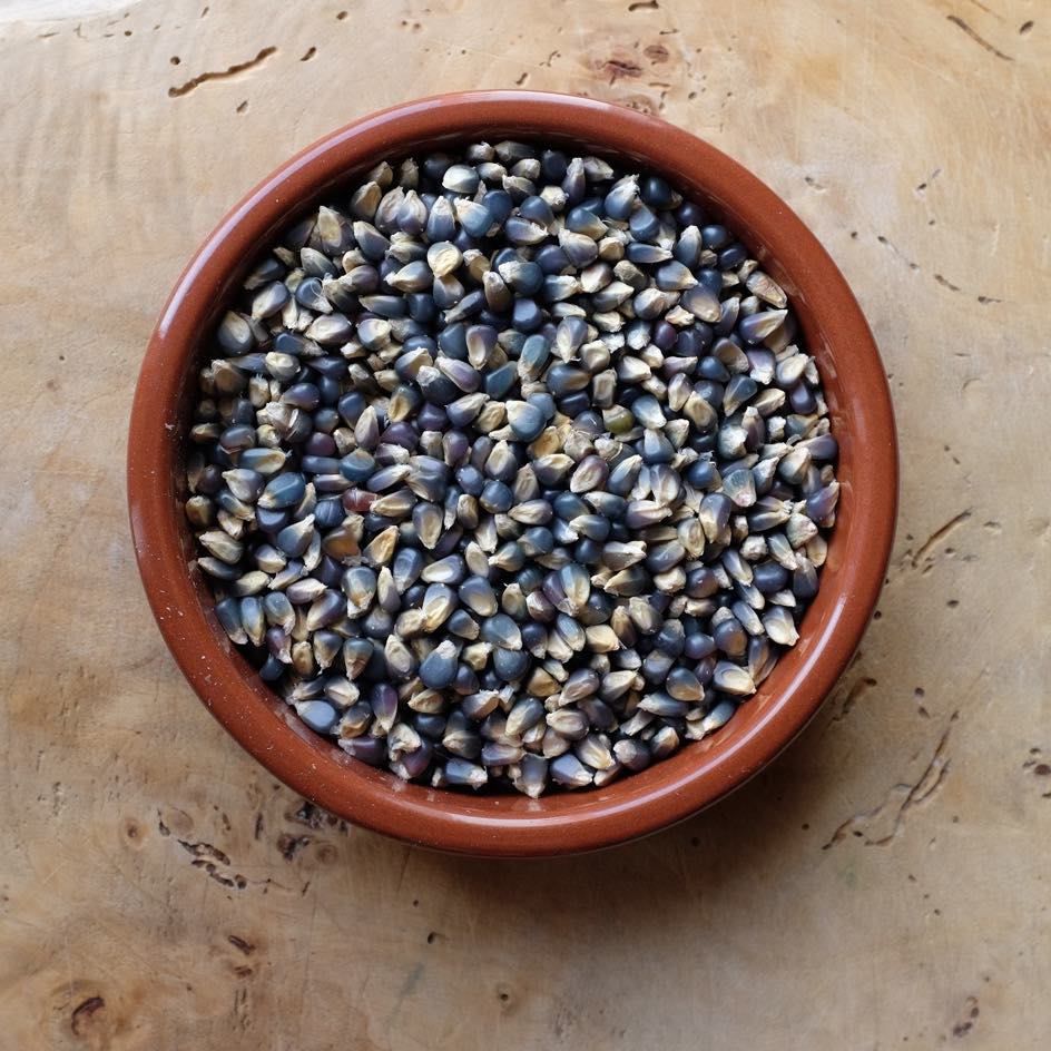 la-bo-te-graines-graines-l-gumes-ma-s-doux-blue-jade-bio image 4
