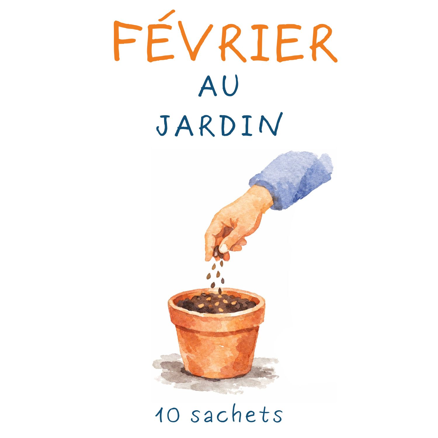 la-bo-te-graines-id-es-cadeaux-f-vrier-au-jardin-coffret-10-sachets-bio image 1