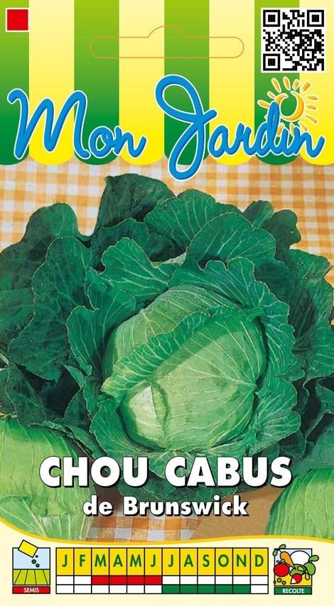 graines-bocquet-brunswick-graines-chou-cabus-3-g-tardif image 1
