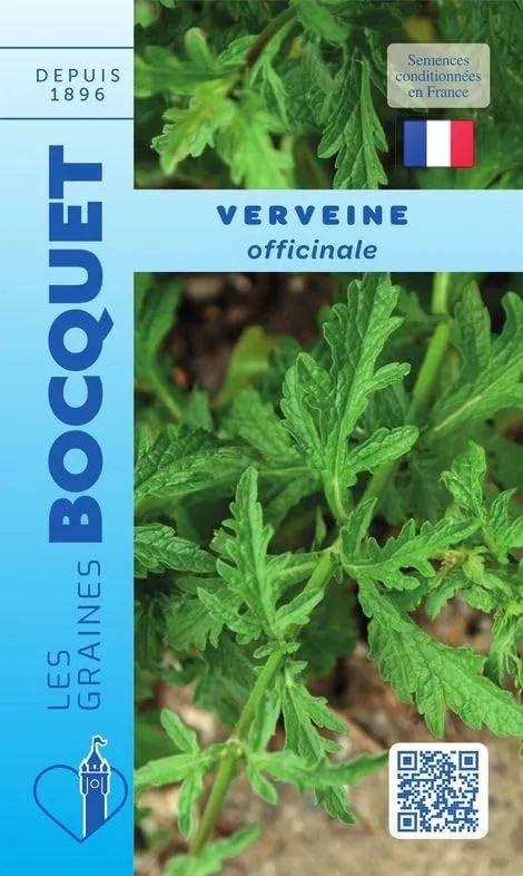 graines-bocquet-verveine-officinale-herbes-aromatiques-0-2-g-tisane image 1