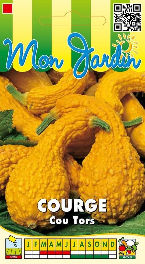 graines-bocquet-courge-cou-tors-graines-3g-orange image 1