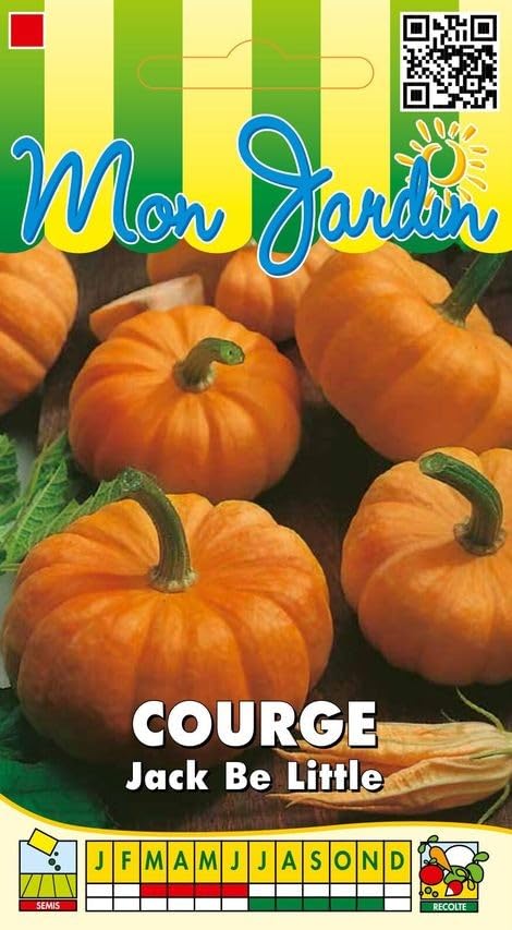 graines-bocquet-jack-be-little-graines-de-courge-3-g-ch-taigne image 1