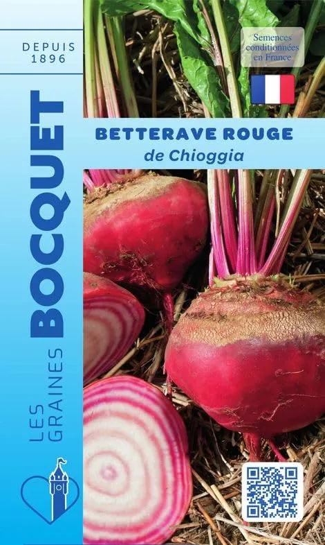 graines-bocquet-chioggia-betterave-rouge-6-g-pr-coce-sucr-e image 1