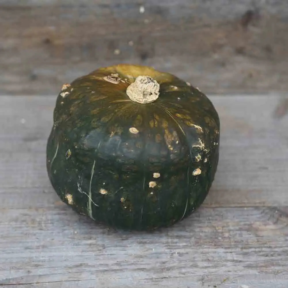 ferme-de-sainte-marthe-potiron-buttercup-graines-bio-sucr-es image 1