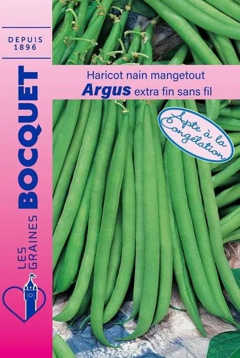 graines-bocquet-argus-graines-haricot-nain-mangetout-60-g image 1