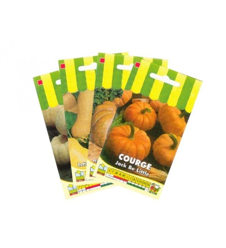 graines-bocquet-lot-de-courges-4-sachets-graines-14-g image 1