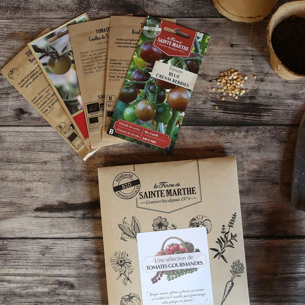 ferme-de-sainte-marthe-assortiment-tomates-gourmandes-5-sachets-bio image 2