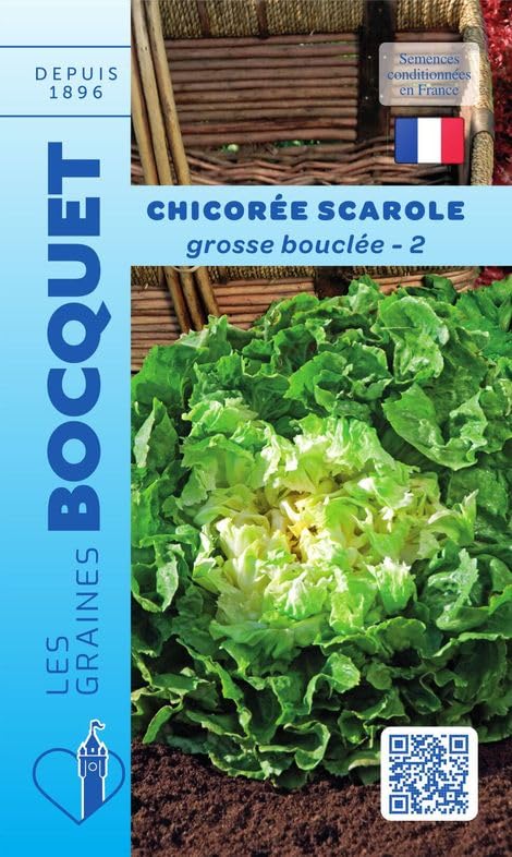 graines-bocquet-chicor-e-scarole-grosse-boucl-e-2-graines-4-g image 1
