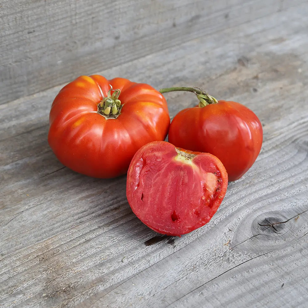 ferme-de-sainte-marthe-tomate-rouge-de-corse-graines-tomate-bio image 1